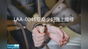 LAA-0046亚裔少妇强上维修工