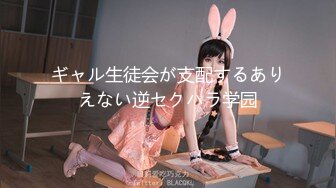 [2DF2] 【二狗探花】00后萌妹子，馒头穴，极品美乳，乖巧听话热情如火，av视角暴操，高清1080p[BT种子]