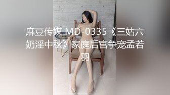 麻豆传媒 MD-0335《三姑六奶淫中秋》家庭后宫争宠孟若羽