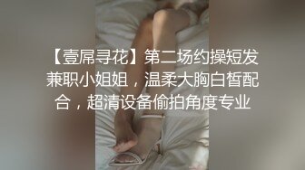 【壹屌寻花】第二场约操短发兼职小姐姐，温柔大胸白皙配合，超清设备偷拍角度专业