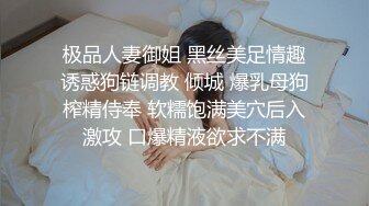 最新AO籍华人夫妻【 Happy-Sofia-Nana】收费VIP视图福利 (10)