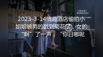 2023-3-14情趣酒店偷拍小姐姐被男的戳到菊花了，女的“啊”了一声，“你日哪呢