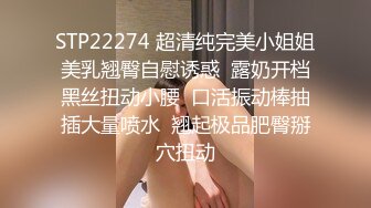 国产麻豆AV MD MD0020 直击搭讪素人拍A片 赵佳美