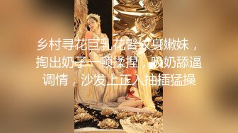 乡村寻花巨乳花臂纹身嫩妹，掏出奶子一顿揉捏，吸奶舔逼调情，沙发上正入抽插猛操