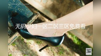 无码少妇一区二区三区免费看