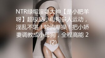 NTR绿帽淫妻大神【是小肥羊呀】超极品小母狗多人运动，淫乱不堪！轮流爆操！把小娇妻调教成小母狗，全程高能 2 (2)