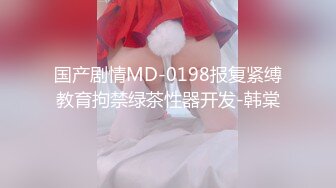 91秦先生最新大作,捆綁超美巨胸女神寶兒(VIP)