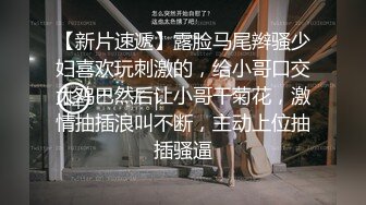 后入极品豪放女