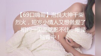 PMC-108-大胸女销售肉穴求成交.被操得淫叫换取业绩-李蓉蓉