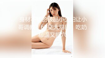 SEXY MISSION 淫行捜査官 河合纱里