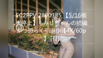 FC2PPV 2890385 【5/16販売停止】もみじちゃんの続編かつ恐らく引退作【4K/60p】 [有]