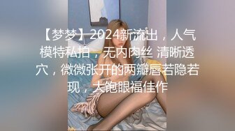 【梦梦】2024新流出，人气模特私拍，无内肉丝 清晰透穴，微微张开的两瓣唇若隐若现，大饱眼福佳作