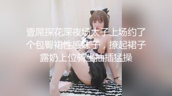 国产麻豆AV MD MD0063 女優面試員 袁庭妮