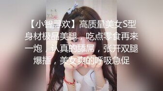 骚老婆的小尾巴