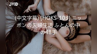 (中文字幕) [HOKS-103] ニッポンの夫婦生活 ふとんの中の48手