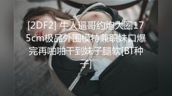 极品欧亚混血豪乳御姐Coser「aboobies」OF私拍 尤物颜值爆炸身材，真真真极品！ (4)