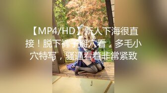 【国产版】[PMC-423]李蓉蓉 空姐直接骑上头等舱乘客 蜜桃影像传媒