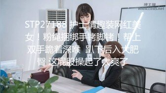 麻豆傳媒 MDSR0003-1 性婚姻生活 EP1 精神出軌的界線 楚夢舒