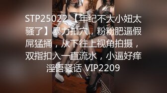 天美傳媒 TMW178 不可告人的偷情秘密 樂奈子