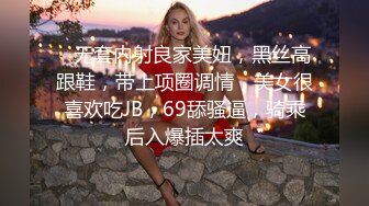 【三级】《绝色女仆小姐姐》