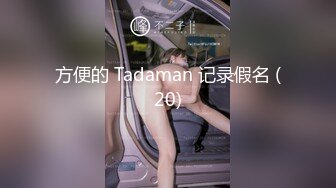 方便的 Tadaman 记录假名 (20)