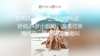 良家女教师2